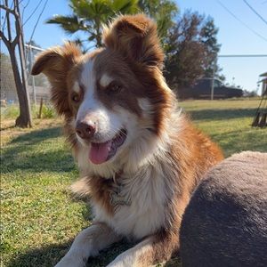 Meet your Posher, Madisyn